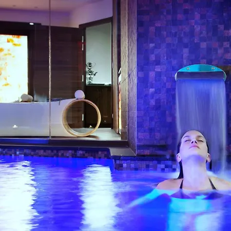 Westminster & 4* ニース